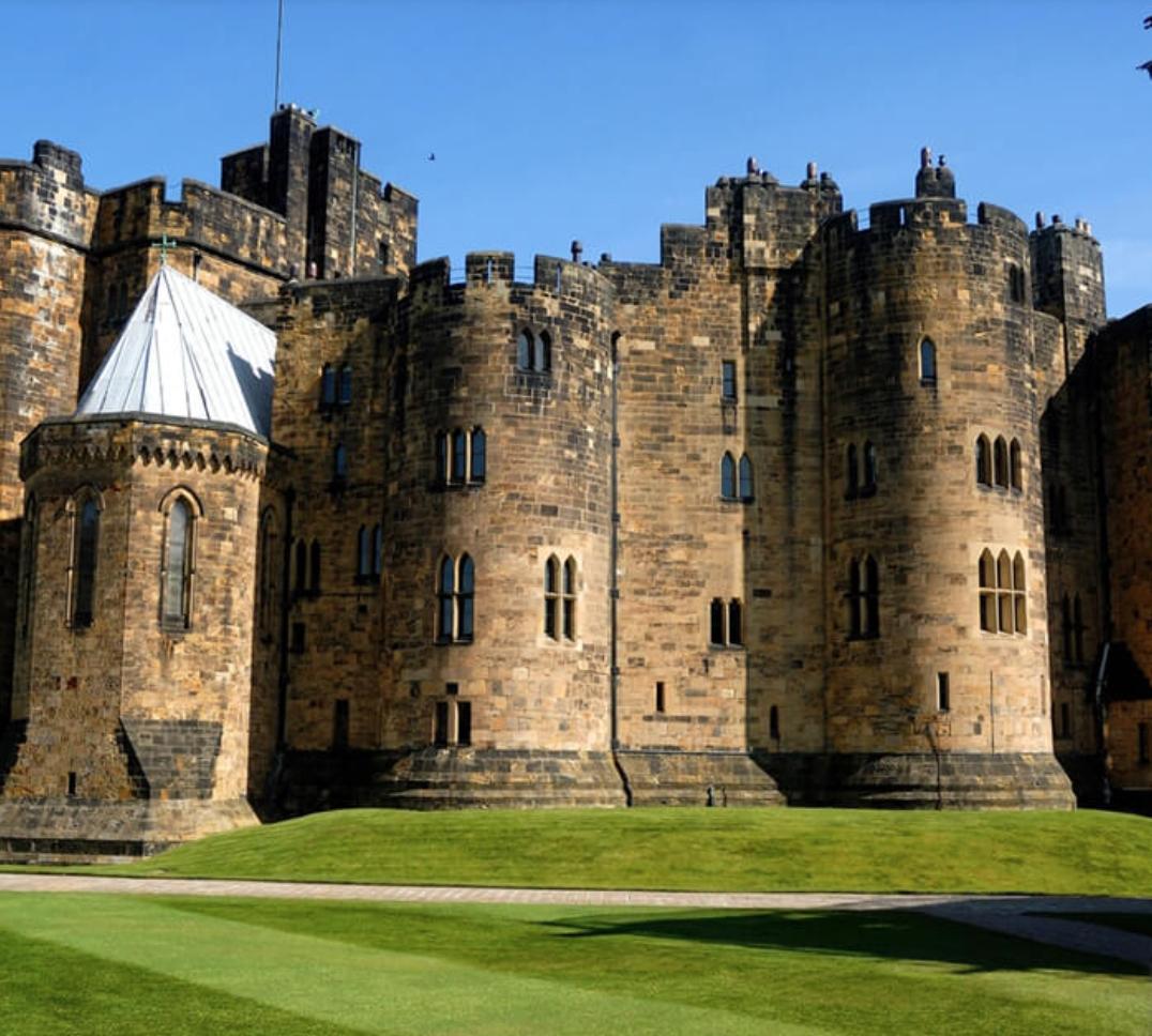 O grădină &icirc;n care doar privești