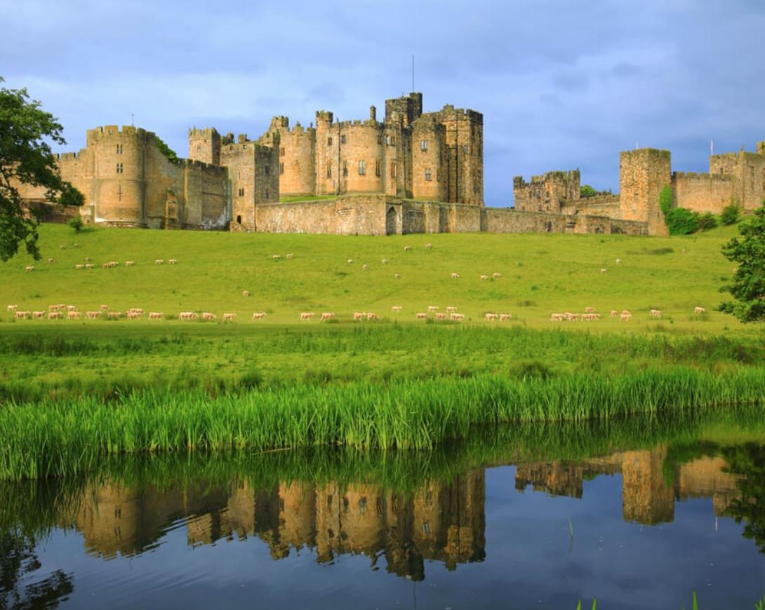 O grădină &icirc;n care doar privești