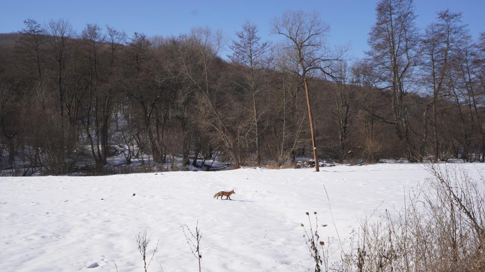 Un design care oferă luxul simplității și farmecul autentic al Transilvaniei