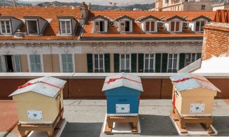 Turism verde, hoteluri bio (II)