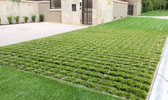 Materiale eco-friendly ( VI)