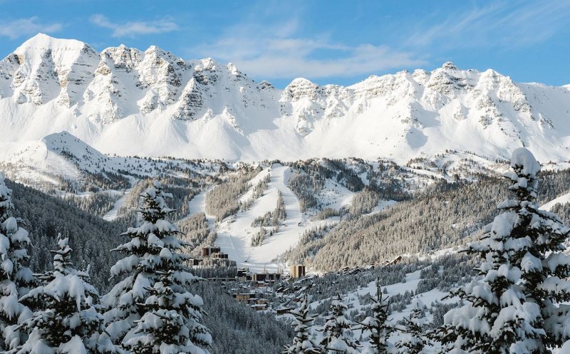 Case din bole de lemn realizate de români în Franța