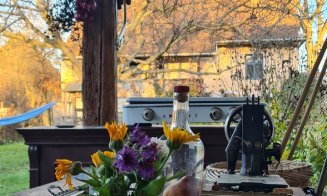 Casa Magazin: Cum se restaurează o casă bătrânească, Casa Șona