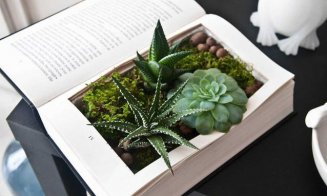 Cărți vechi. Decorațiuni noi.