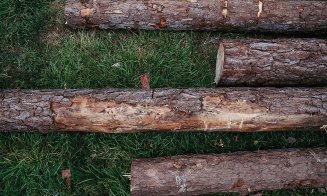 Unelte de secol XII pentru renovarea catedralei Notre-Dame