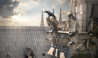 Unelte de secol XII pentru renovarea catedralei Notre-Dame