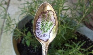 Decorațiuni utile în grădină: etichete pentru plante