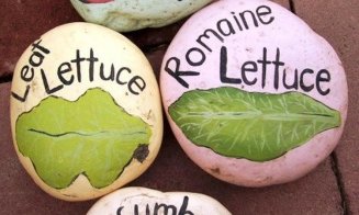 Decorațiuni utile în grădină: etichete pentru plante