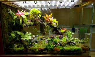 Terarii automatizate, unice în Europa și produse în România