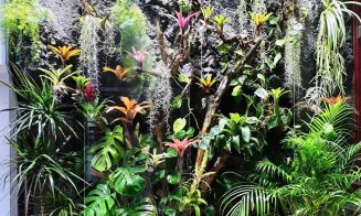 Terarii automatizate, unice în Europa și produse în România