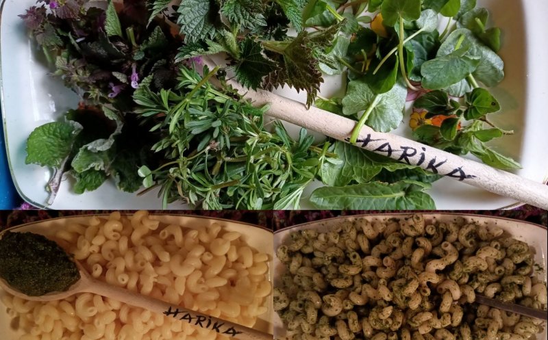 Din coșul naturii: plante din flora spontană comestibile