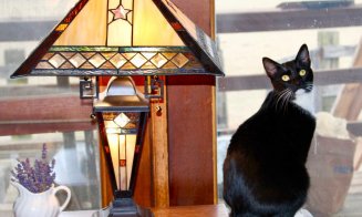 Arta unică a vitraliilor