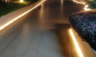  Grădini illuminate feeric la costuri reduse