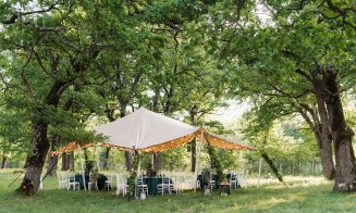  Grădini illuminate feeric la costuri reduse