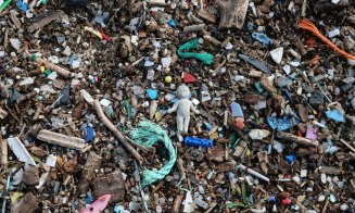 O enzimă salvatoare