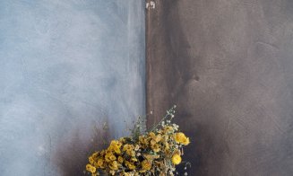 Vopseaua ca unealtă