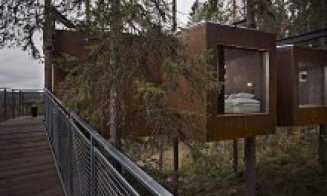 TreeHotel, un complex hotelier unic