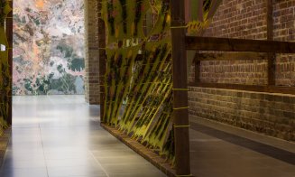 Ikum, o instalație de artă a plantelor vindecătoare